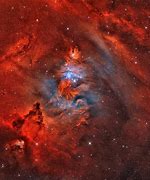 Image result for Fox Fur Nebula in Monoceros