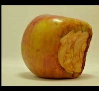 Image result for Red Apple Rotten Time-Lapse