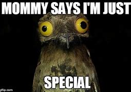 Image result for Cause You Are Special Meme
