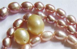 Image result for 6Mm Pearls