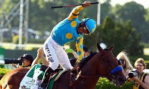 Image result for Horse Racing Winner