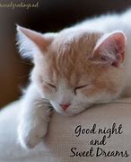 Image result for Good Night Sweet Dreams Cat