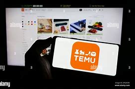 Image result for Temu App Logo