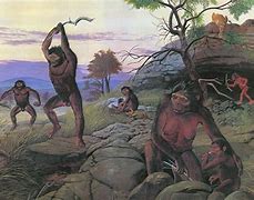 Image result for Human Evolution Australopithecus