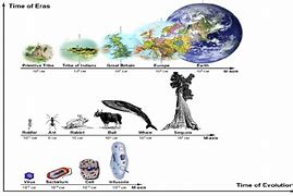 Image result for Life On Earth Evolution