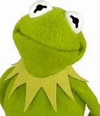 Image result for Kermit Freaking Out