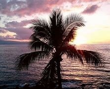 Image result for Hawaii Beach Sunset iPhone Wallpaper