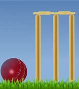 Image result for Cricket Cartoon