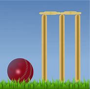 Image result for Cricket Activity