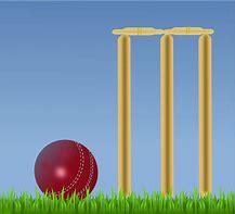 Image result for Cricket PNG Images