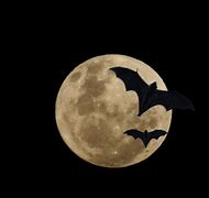 Image result for Bat Signal in the Sky