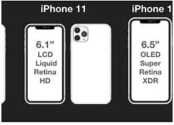 Image result for iPhone 11 vs Xr Coral