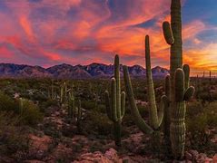 Image result for Arizona Desert Screensavers