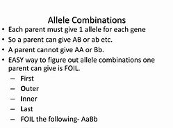 Image result for Allele Combinations