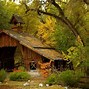 Image result for Cabin in the Woods 4K Wallpaper