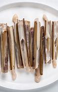 Image result for Razor Clam Shell