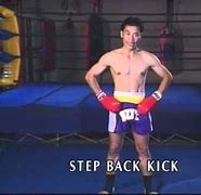 Image result for Martial Arts Punches