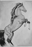 Image result for Stan Horse Art