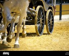 Image result for Horse-Drawn Chariot
