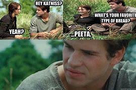 Image result for Hunger Games Memes Beetee