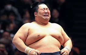 Image result for Yama the Sumo Wrestler