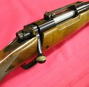 Image result for 300 Weatherby vs 300 Win Mag