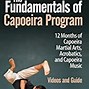 Image result for Brazilian Martial Arts Capoeira