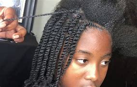 Image result for Two Strand Twist Dry Natural Hair