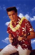 Image result for Blue Hawaii Band