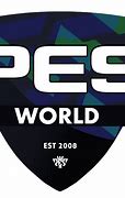 Image result for PES Transparent Logo
