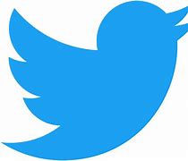 Image result for Twitter Bird Flying