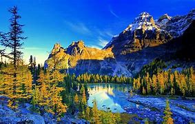 Image result for 8 k nature wallpapers