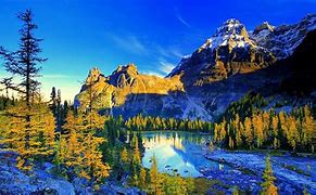 Image result for Beautiful Images for Wallpaper in 8K