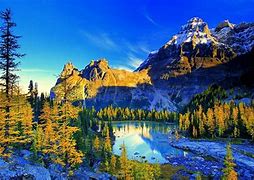 Image result for Ultra High Resolution Nature