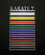 Image result for Shotokan Karate Belts in Order