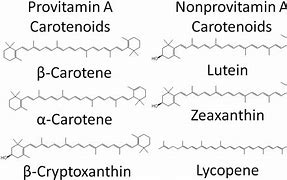 Image result for Beta Carotene Supplements