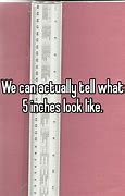 Image result for How Does 5 Inches Look Like