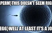 Image result for Sperm and Egg Meme