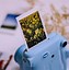 Image result for Instax Green Tea Case
