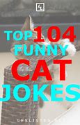 Image result for Cat Jokes Kids