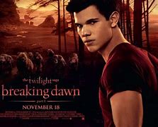 Image result for Twilight Saga Breaking Dawn Cover