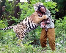Image result for Profile Pic Man with a Tiger