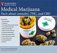 Image result for Marijuana Health Benefits