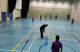 Image result for Street Cricket Indoor