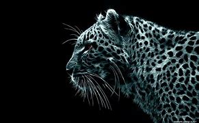 Image result for HD Cool Wallerpaper