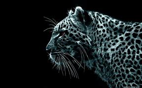 Image result for Really Cool Wallpapers HD