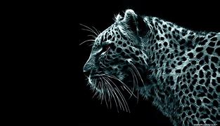 Image result for Latest HD Wallpapers Cool