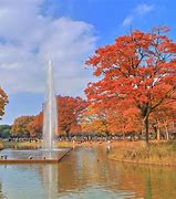 Image result for Yoyogi Park Japan