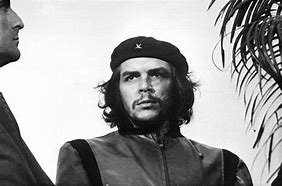 Image result for guerrillero