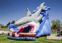 Image result for Shark Inflatable Water Slide